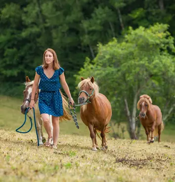 Balades à poney dans le Tarn