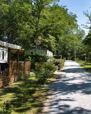 Allée d u camping