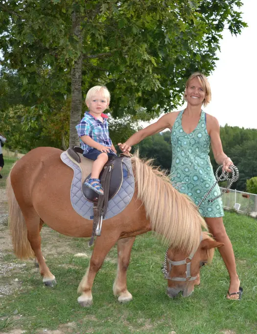 poney-au-camping Poney du camping